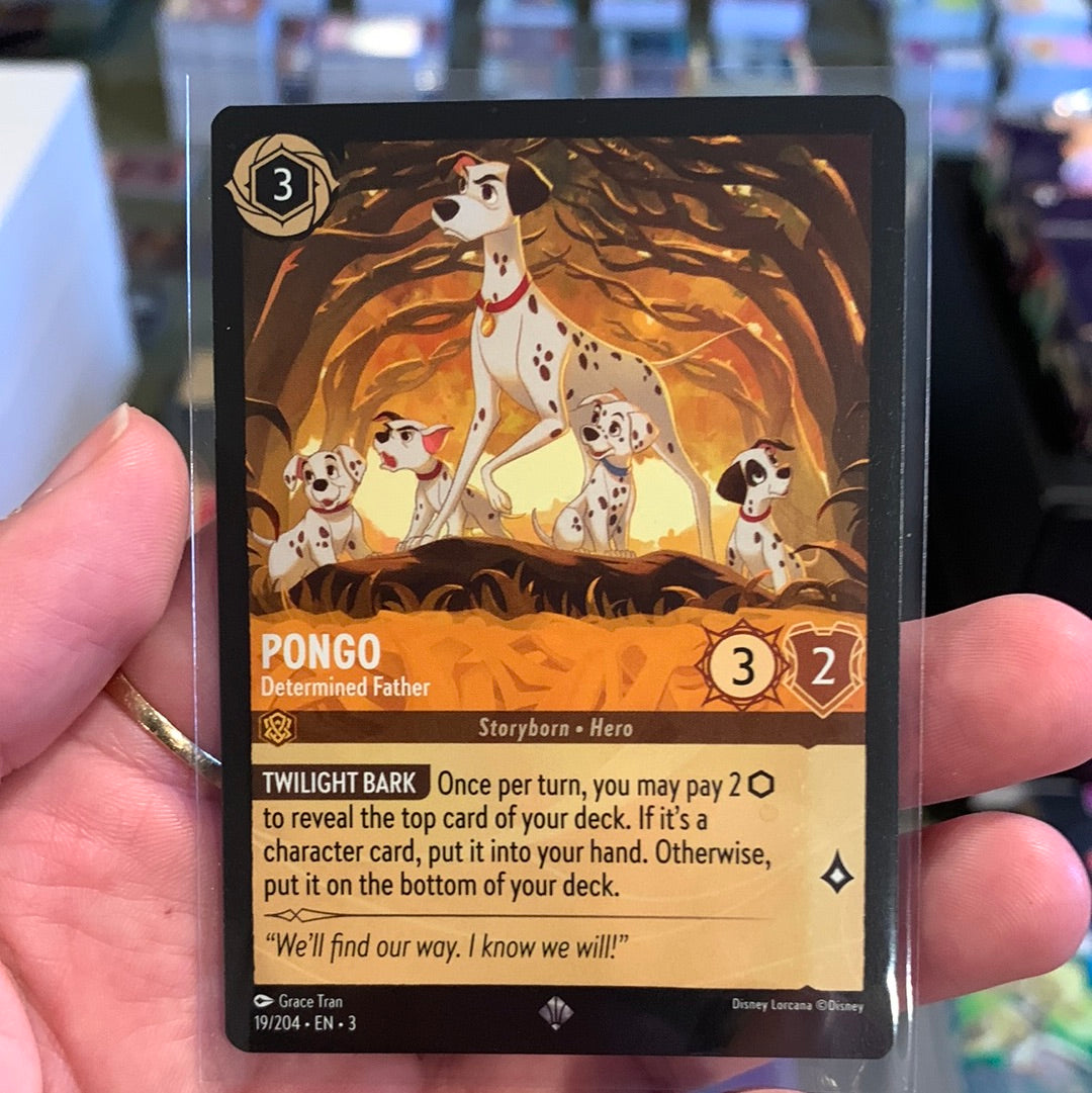 Pongo - Determined Father - 19/204