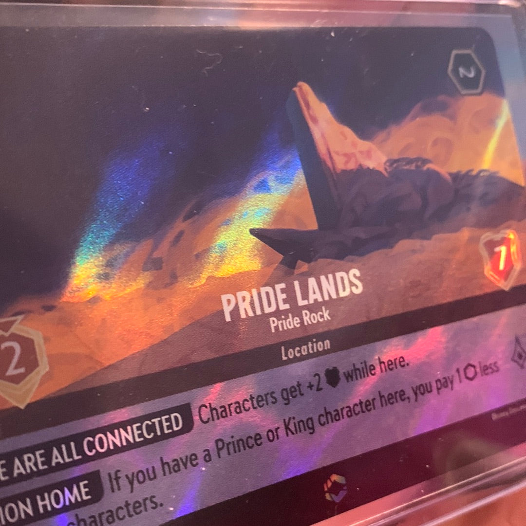 Pride Lands - Pride Rock - 207/204